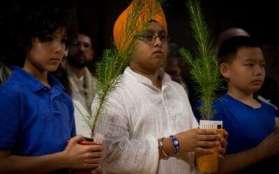 Sikhism and the Environment