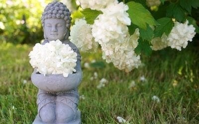 A Buddhist Understanding of Nature