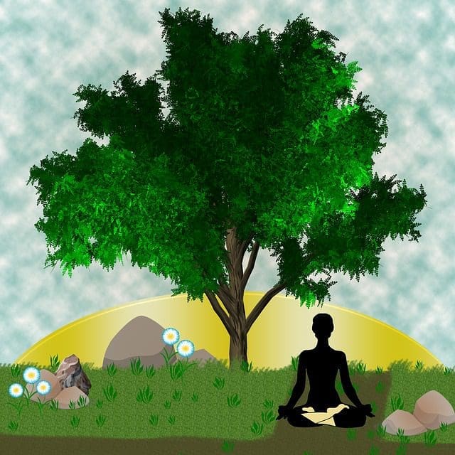 Bodhi Day Bodhi Day