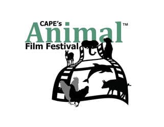 Animal Film Festival 2019 selects ANIMA