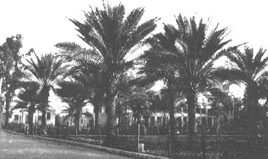 Ridvan Garden, Baghdad. Unknown, Public domain, via Wikimedia Commons 