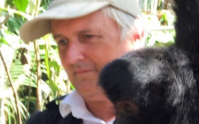 Tim Phillips